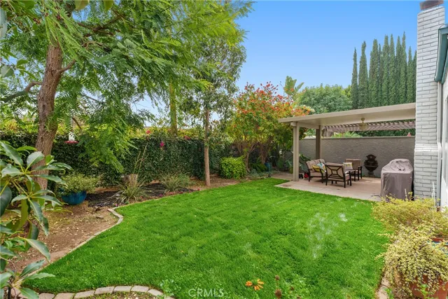 a view of a yard with plants