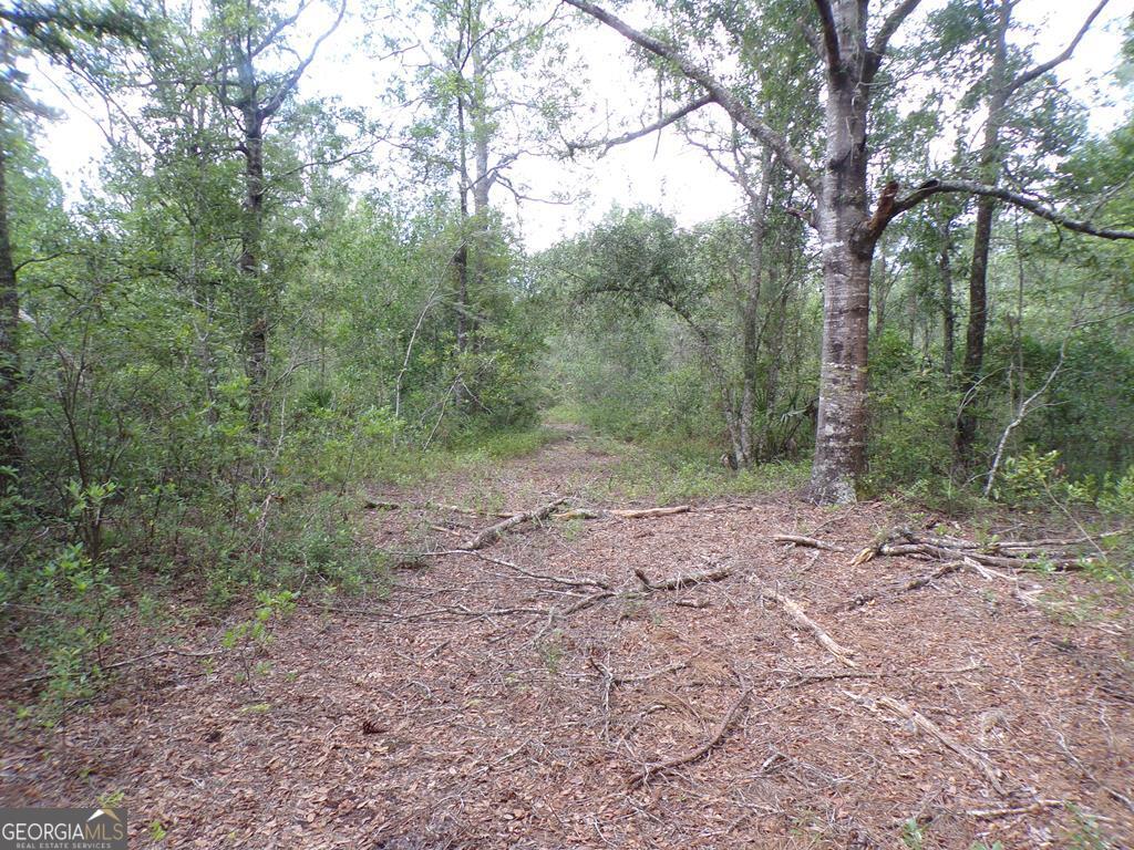 10.763 Manningtown Road Jesup, GA 31546 - Photo 1 of 1 Main View