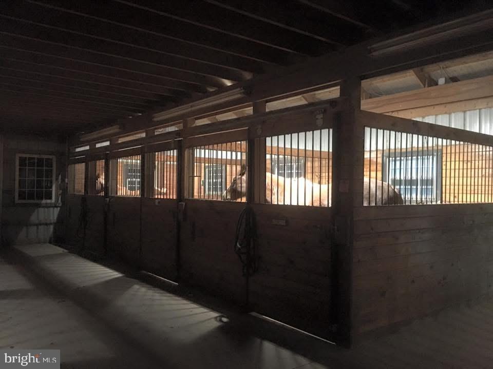 145 Franklintown Road Dillsburg, PA 17019 - Photo 6 of 63 LED Lighting in Stalls