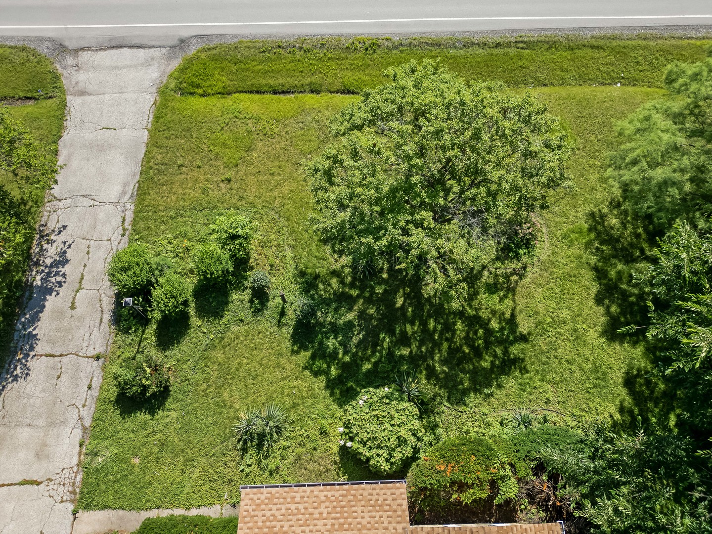 5736 Willow Springs Road La Grange Highlands, IL 60525 - Photo 10 of 14 a view of a garden