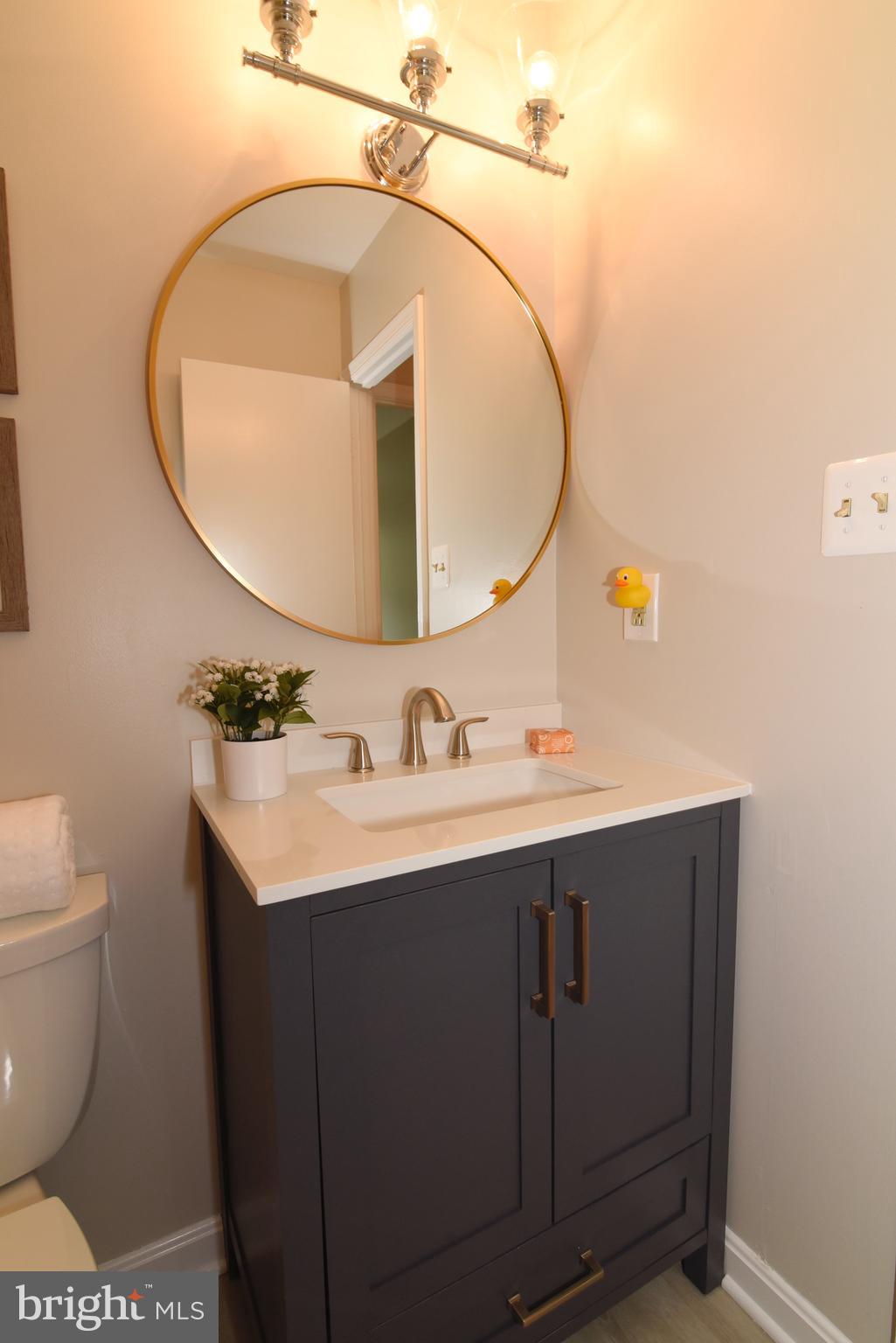 11940 Sentinel Point Court Reston, VA 20191 - Photo 31 of 43 New vanity, mirror and light in the hall bathroom!