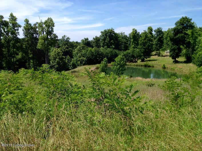 Lot 4 Morgan Road Payneville, KY 40157 - Photo 1 of 2 morgan acre 2.jpg