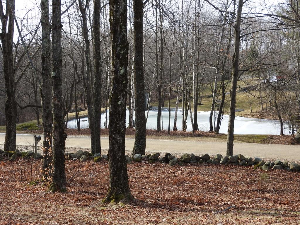 70 Smith Farm Road Chittenden, VT 05763 - Photo 6 of 29