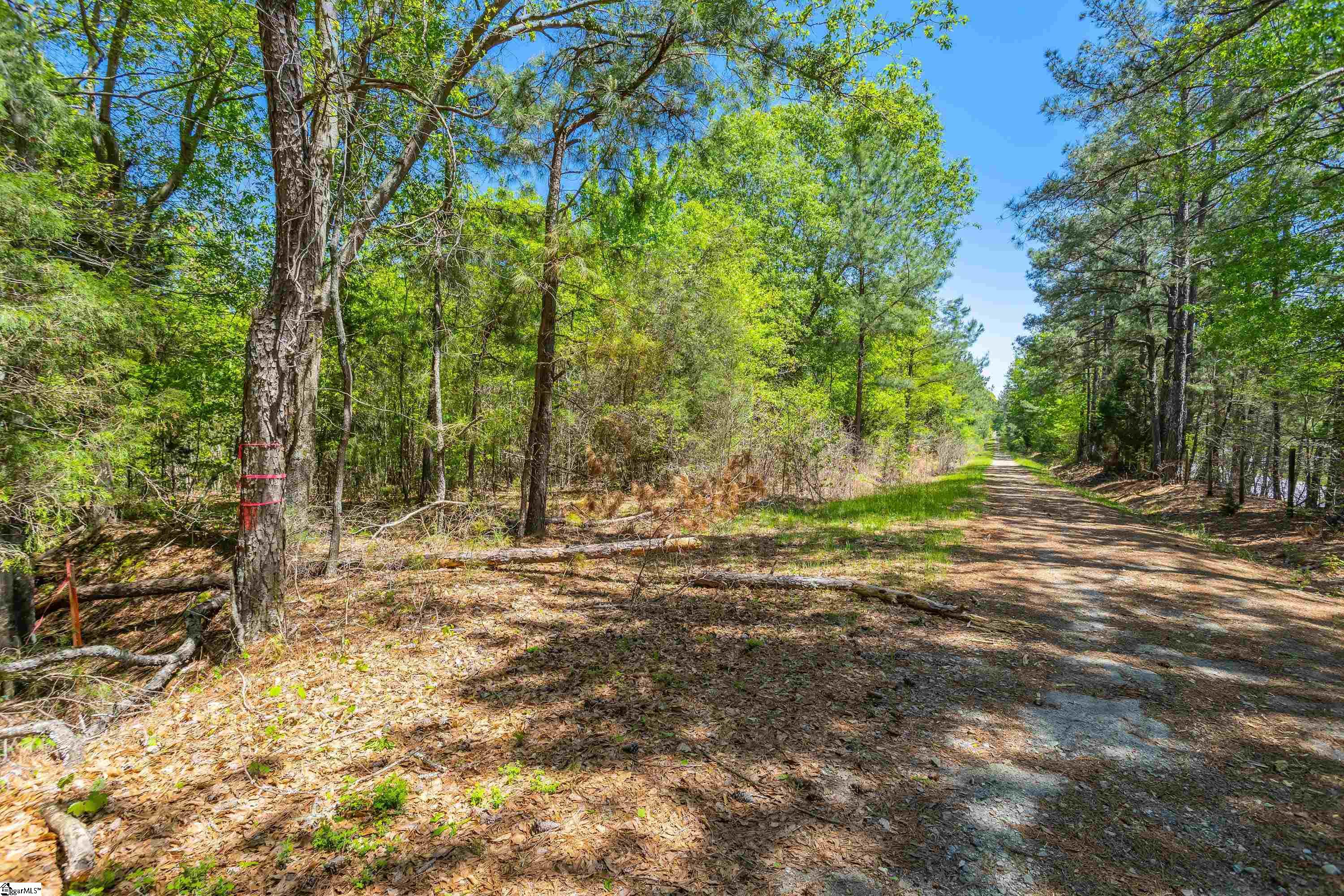 0 Indian Creek Road Clinton, SC 29325 - Photo 3 of 15 Gallery Image 3