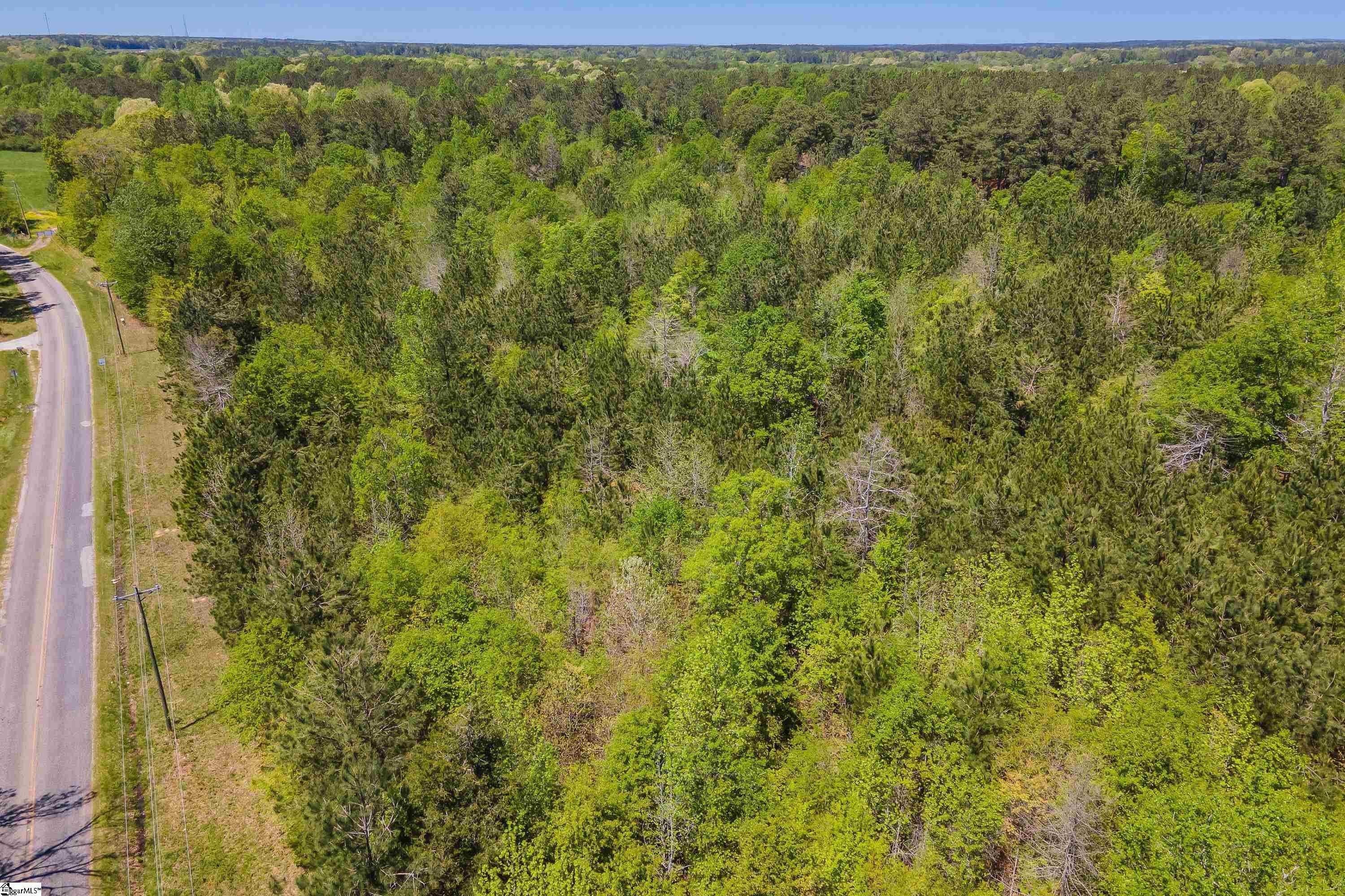 0 Indian Creek Road Clinton, SC 29325 - Photo 8 of 15 Gallery Image 8