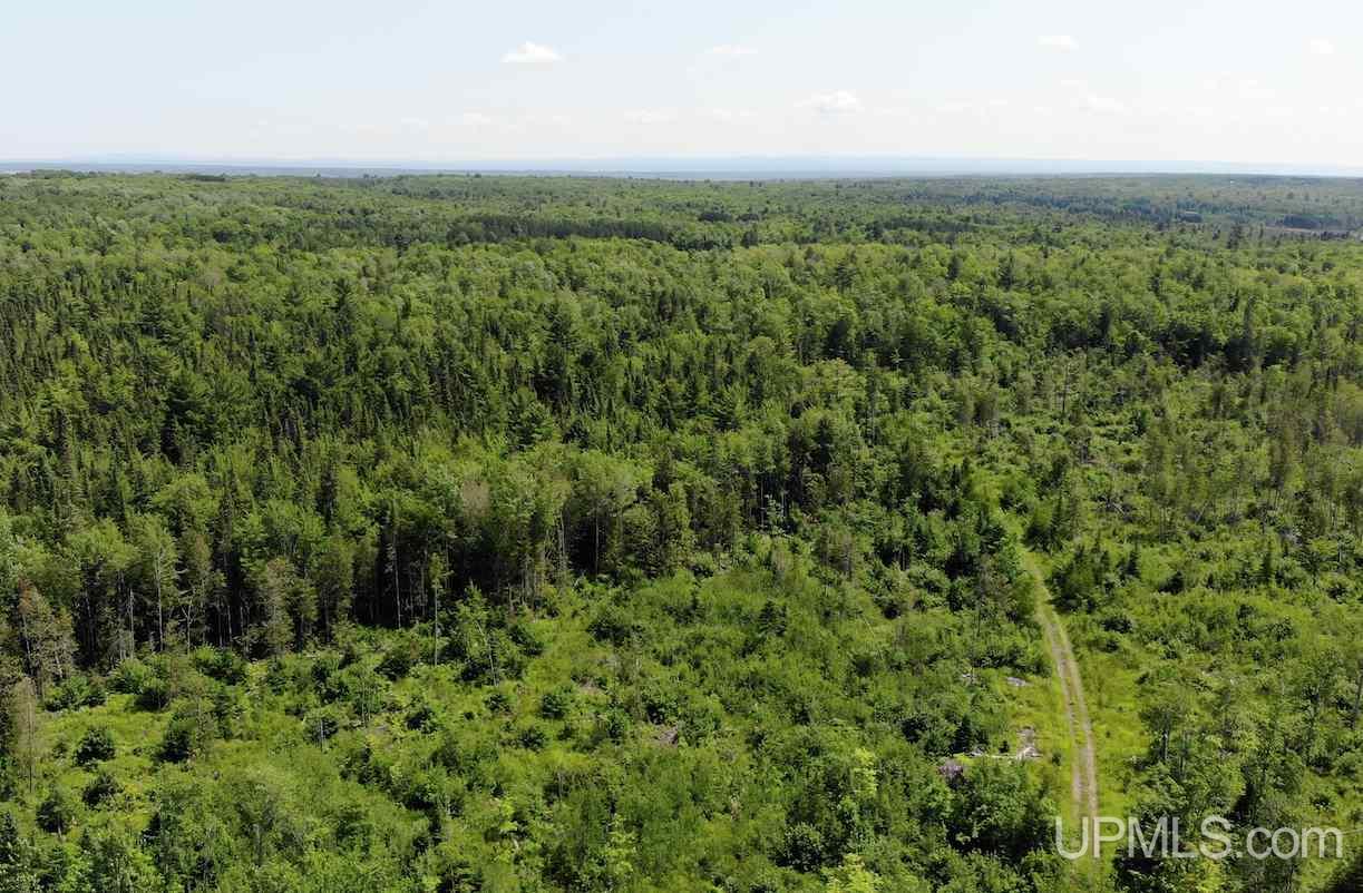 Tbd Upper Massie Road Chassell, MI 49916 - Photo 9 of 12 Gallery Image 9