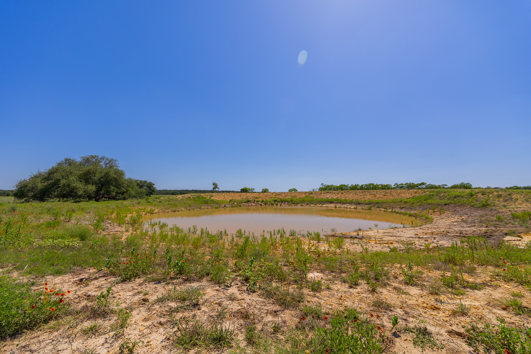 180 Rd Purmela Tx 76566 Road Purmela, TX 76566 - Photo 4 of 32 Gallery Image 4