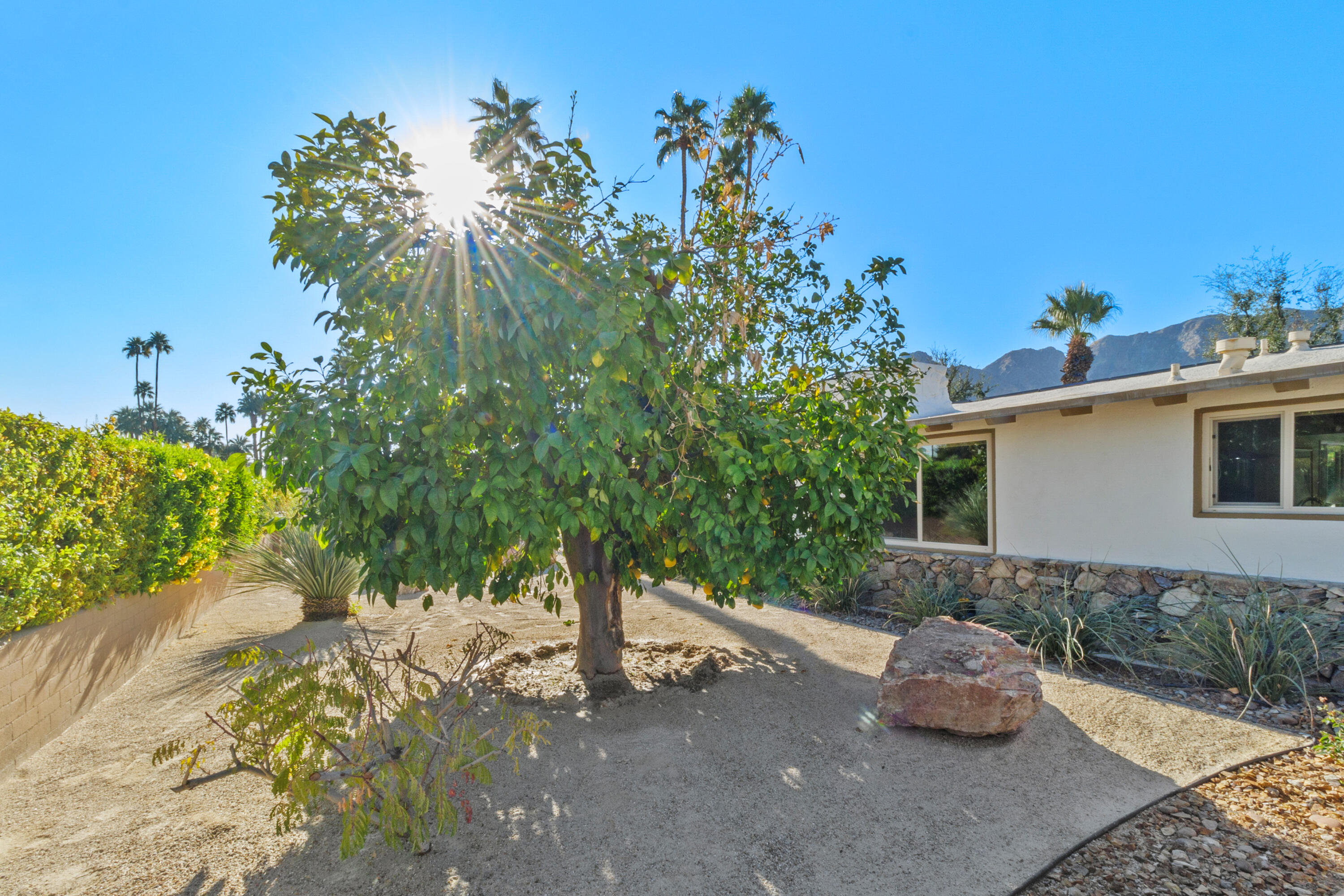 70801 Fairway Drive Rancho Mirage, CA 92270 - Photo 46 of 48 a backyard of a house with lots of green space