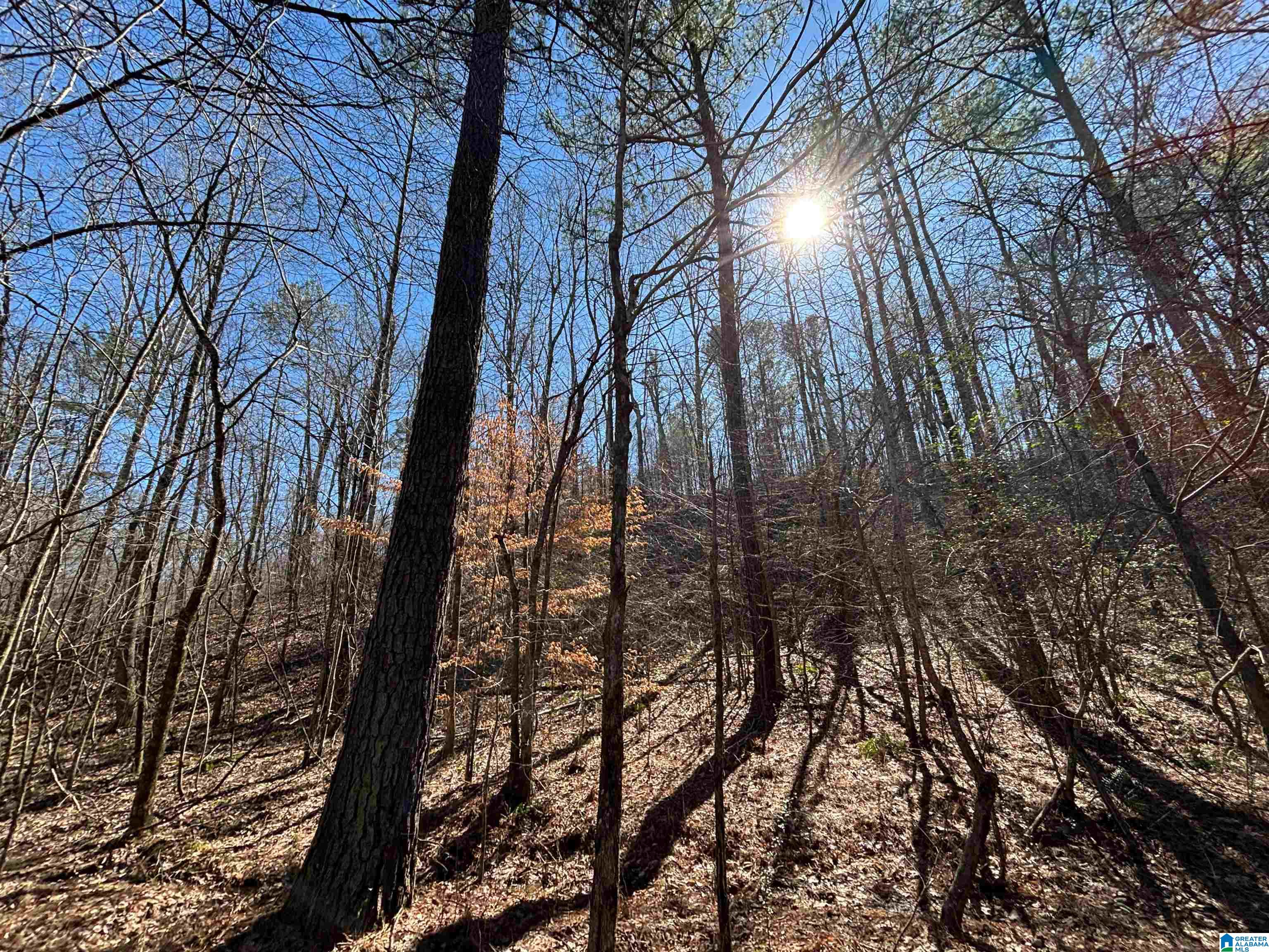 7380 Narrows Road, Unit 148 / ACRES Pinson, AL 35126 - Photo 11 of 22