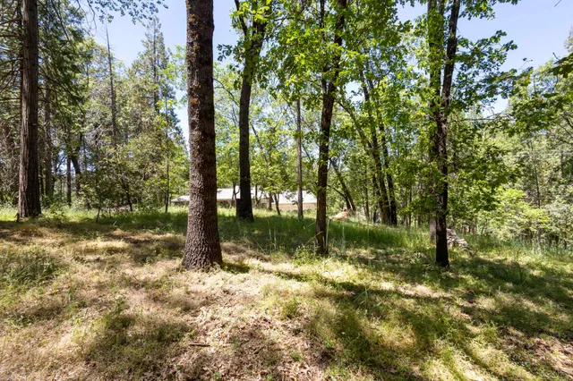 a backyard of a house with lots of green space