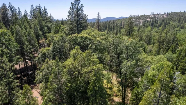an aerial view of a house with a yard and large trees