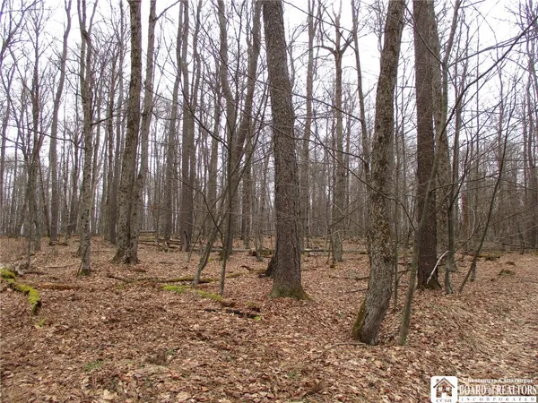 $1,525,000 | Homestead Road, Bolivar, NY 14715