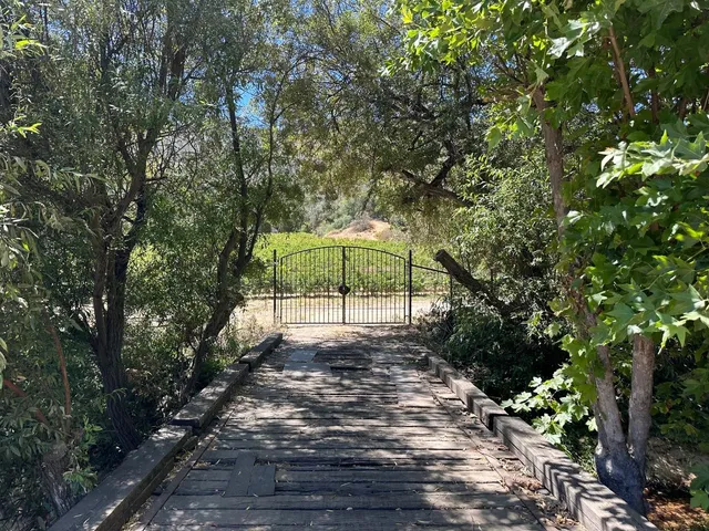 a view of a yard with plants and trees