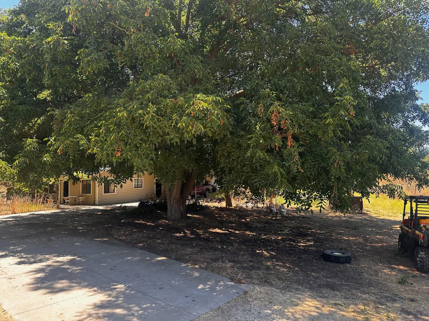 13160 Cienega Road Hollister, CA 95023 - Photo 18 of 25 a view of road with tree