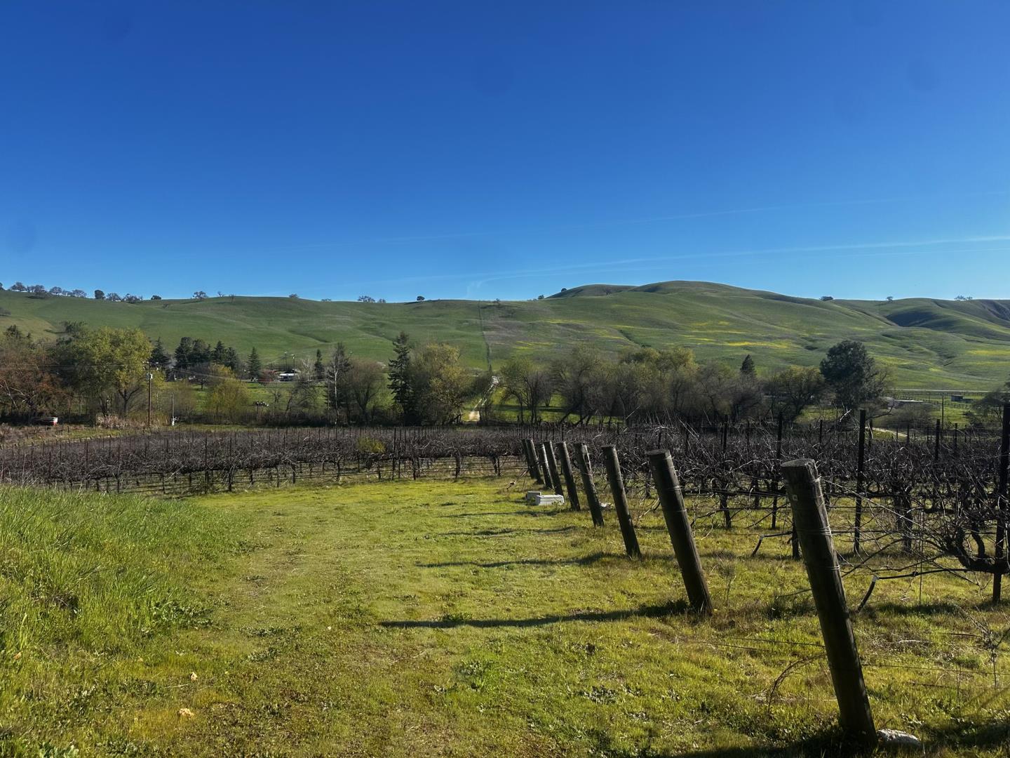 13160 Cienega Road Hollister, CA 95023 - Photo 19 of 25 a view of a swimming pool with a mountain view