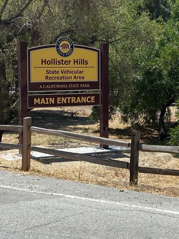 a view of a large trees with green field