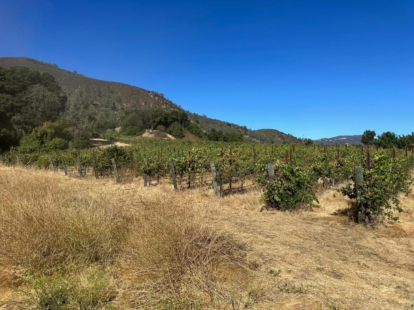 13160 Cienega Road Hollister, CA 95023 - Photo 6 of 25 a view of mountain view with mountains in the background