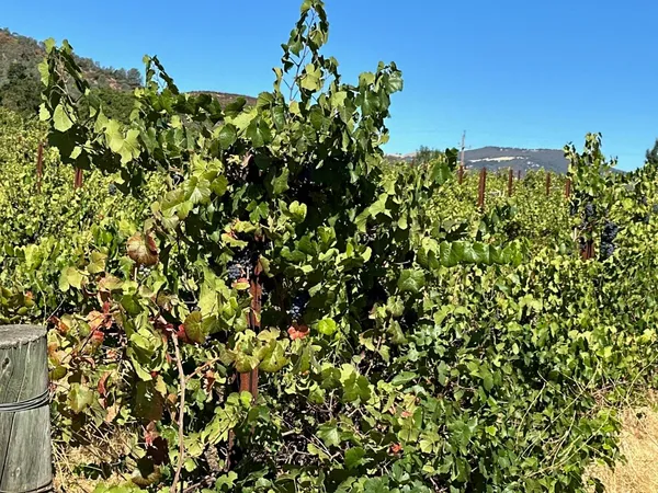 $1,599,000 | 13160 Cienega Road, Hollister, CA 95023