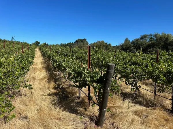 $1,599,000 | 13160 Cienega Road, Hollister, CA 95023