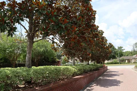 $69,000 | 2019 Southeast 29th Street, Ocala, FL 34471