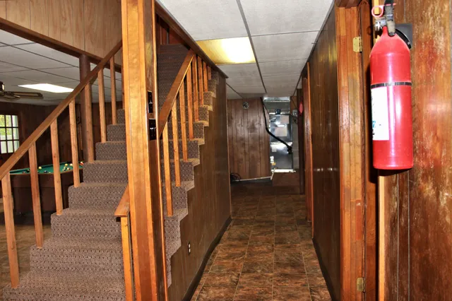 a tree in the backyard of a house