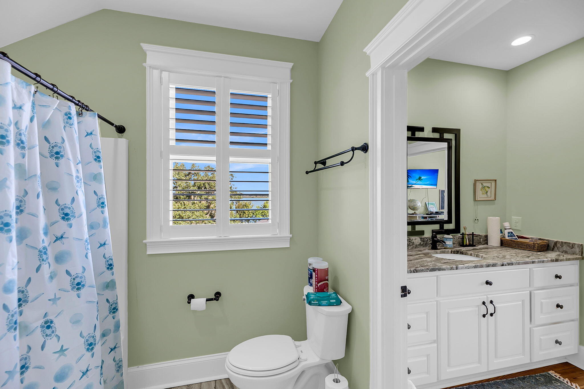 1811 Teal Road Moncks Corner, SC 29461 - Photo 55 of 117 CREM - 1811 Teal + Aerials-51