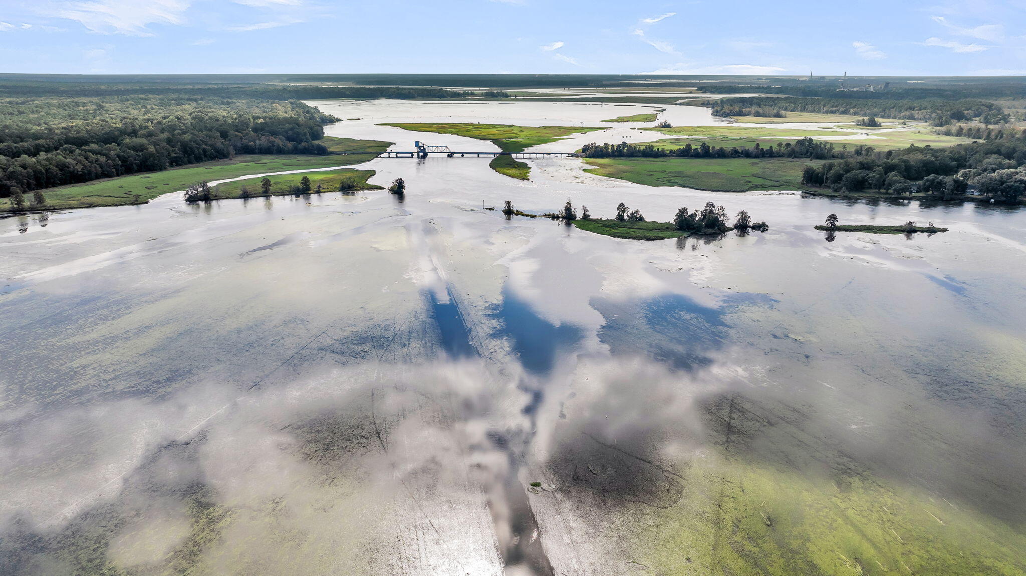 1811 Teal Road Moncks Corner, SC 29461 - Photo 73 of 117 CREM - 1811 Teal + Aerials-20