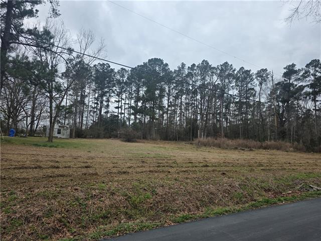 12462 Step Toe Road Roseland, LA 70456 - Photo 25 of 25 Gallery Image 25