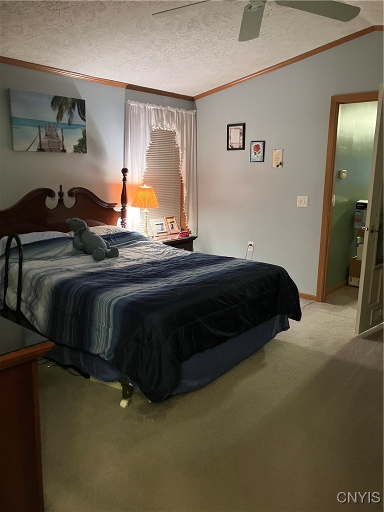 116 Oakleaf Drive Brutus, NY 13166 - Photo 12 of 18