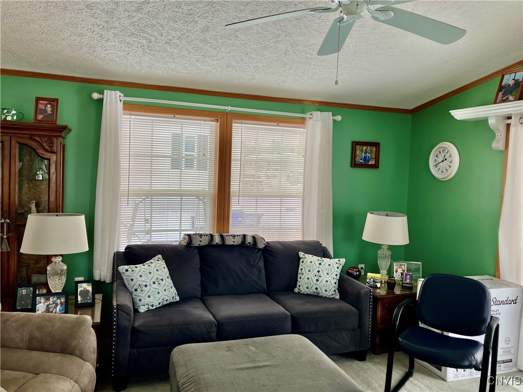 116 Oakleaf Drive Brutus, NY 13166 - Photo 7 of 18