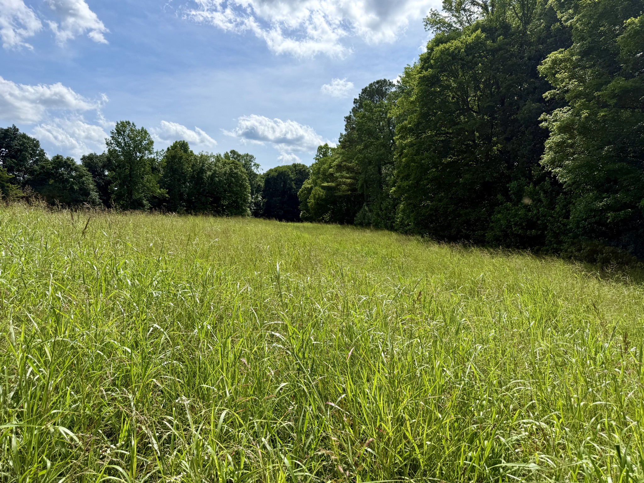 59 Hardin Loop Westpoint, TN 38486 - Photo 48 of 74