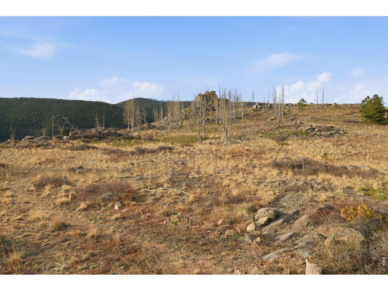 5260 Ridge Road Boulder, CO 80302 - Photo 12 of 21