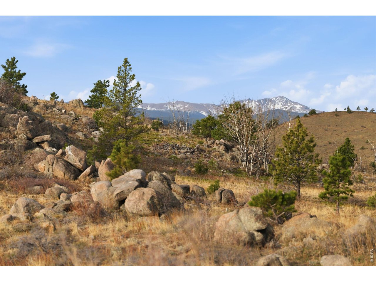 5260 Ridge Road Boulder, CO 80302 - Photo 9 of 21