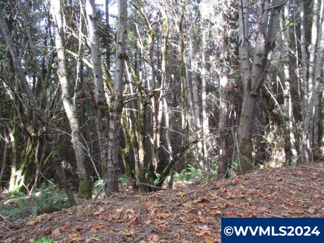 0 Northwest Crane (1) Road Yamhill, OR 97148 - Photo 4 of 10