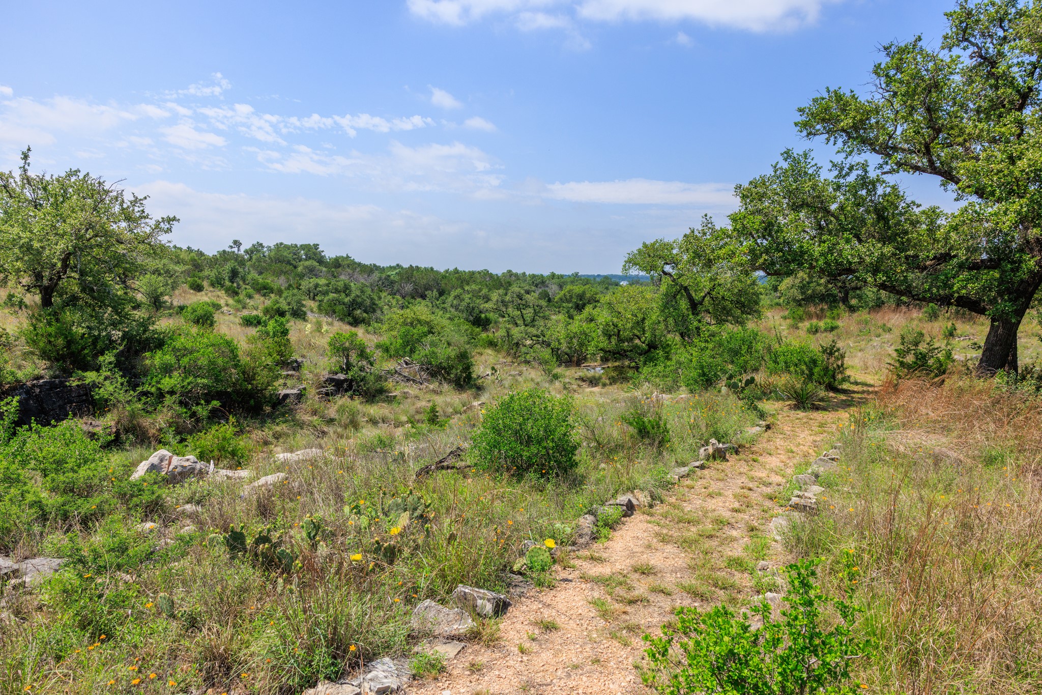 611 Weddle Road Johnson City, TX 78636 - Photo 28 of 30 a view of a bunch of trees and bushes