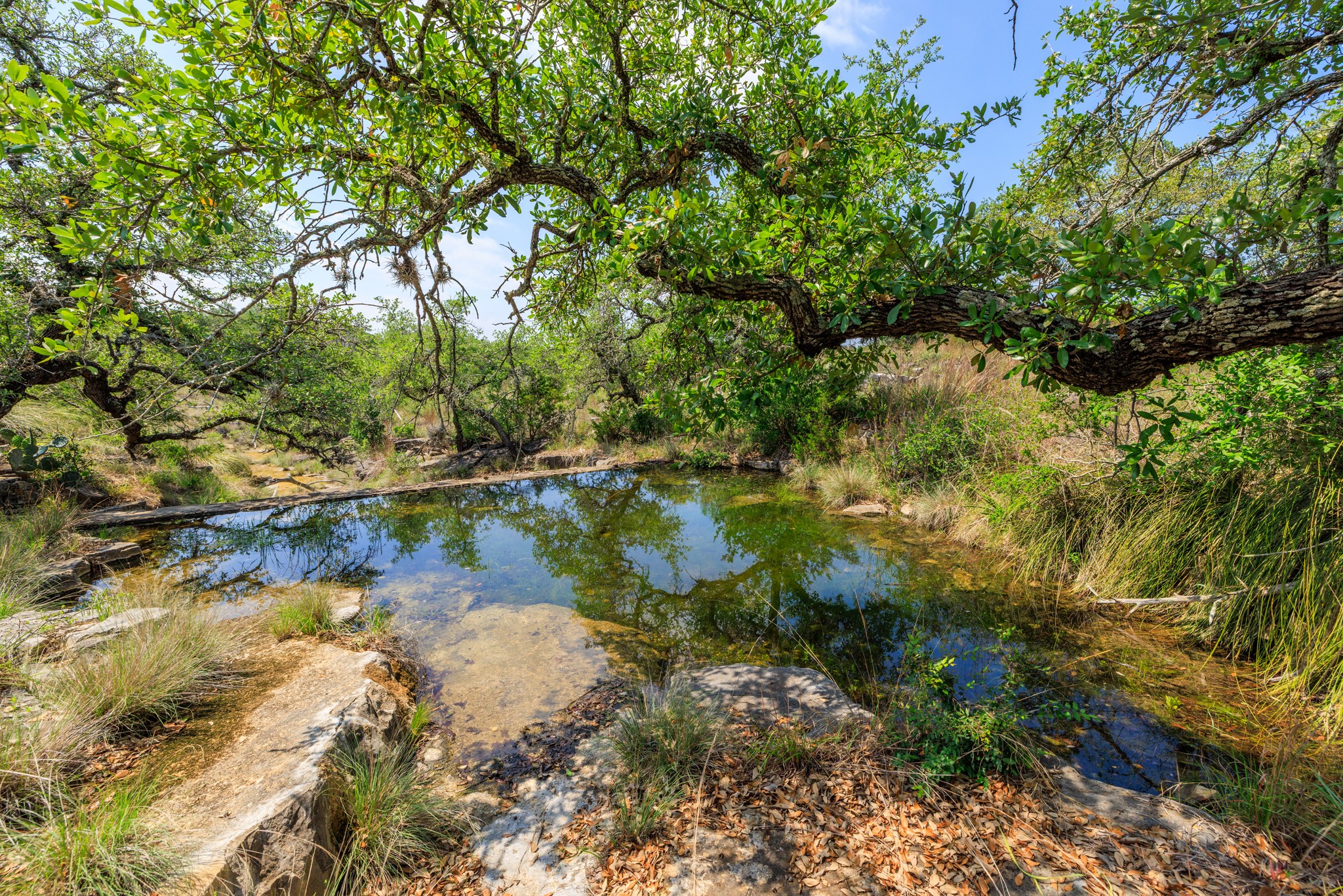 611 Weddle Road Johnson City, TX 78636 - Photo 7 of 30