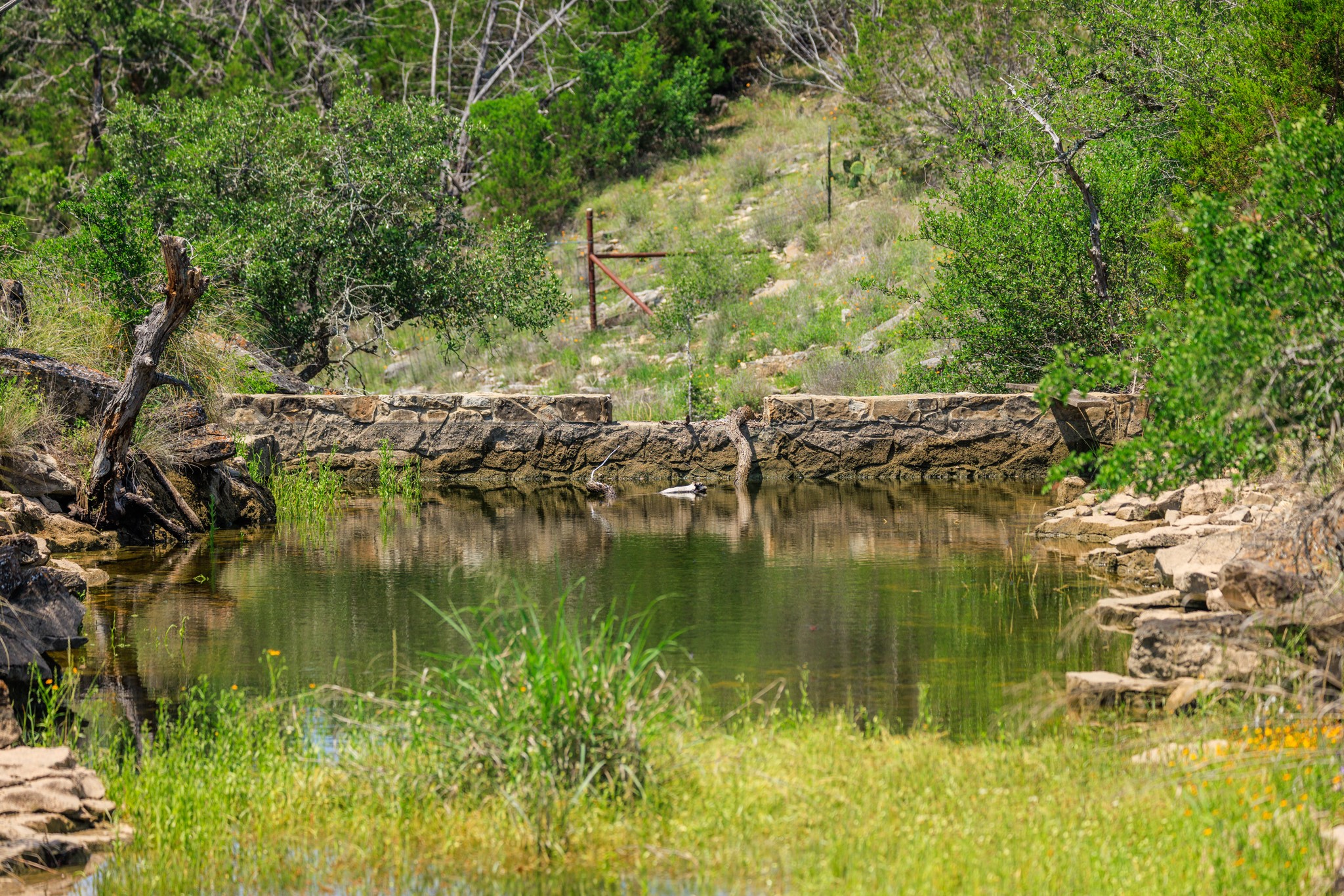 611 Weddle Road Johnson City, TX 78636 - Photo 9 of 30 a view of a lake view