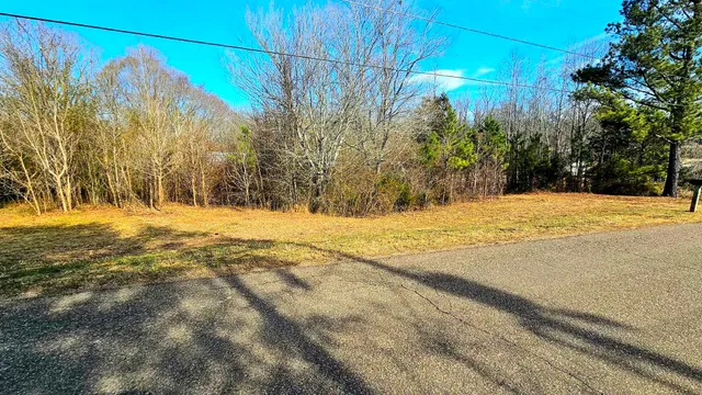 a view of large yard