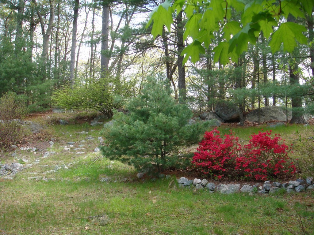 25 Ledgetree Road Medfield, MA 02052 - Photo 6 of 10 Gallery Image 6