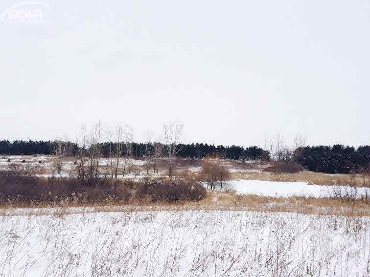 0 Lothrop Imlay City, MI 48444 - Photo 3 of 5