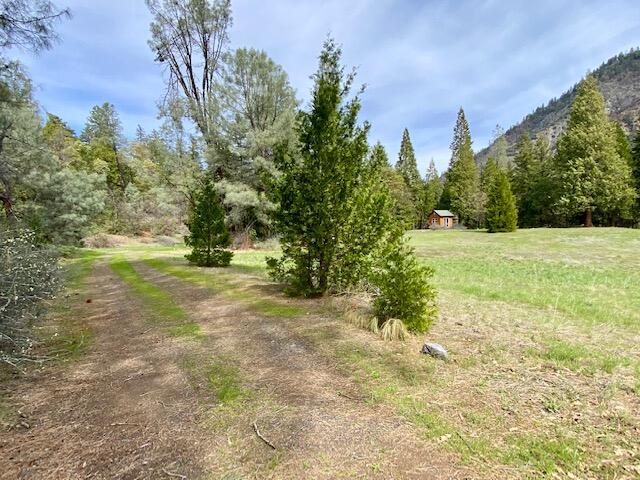 10041 Highway 299, Unit 299 Burnt Ranch, CA 95527 - Photo 18 of 44