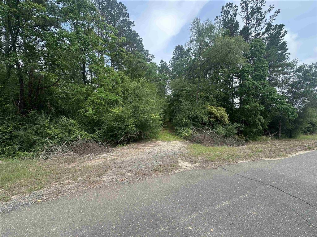 West Santa Fe Road Oakdale, LA 71463 - Photo 5 of 6