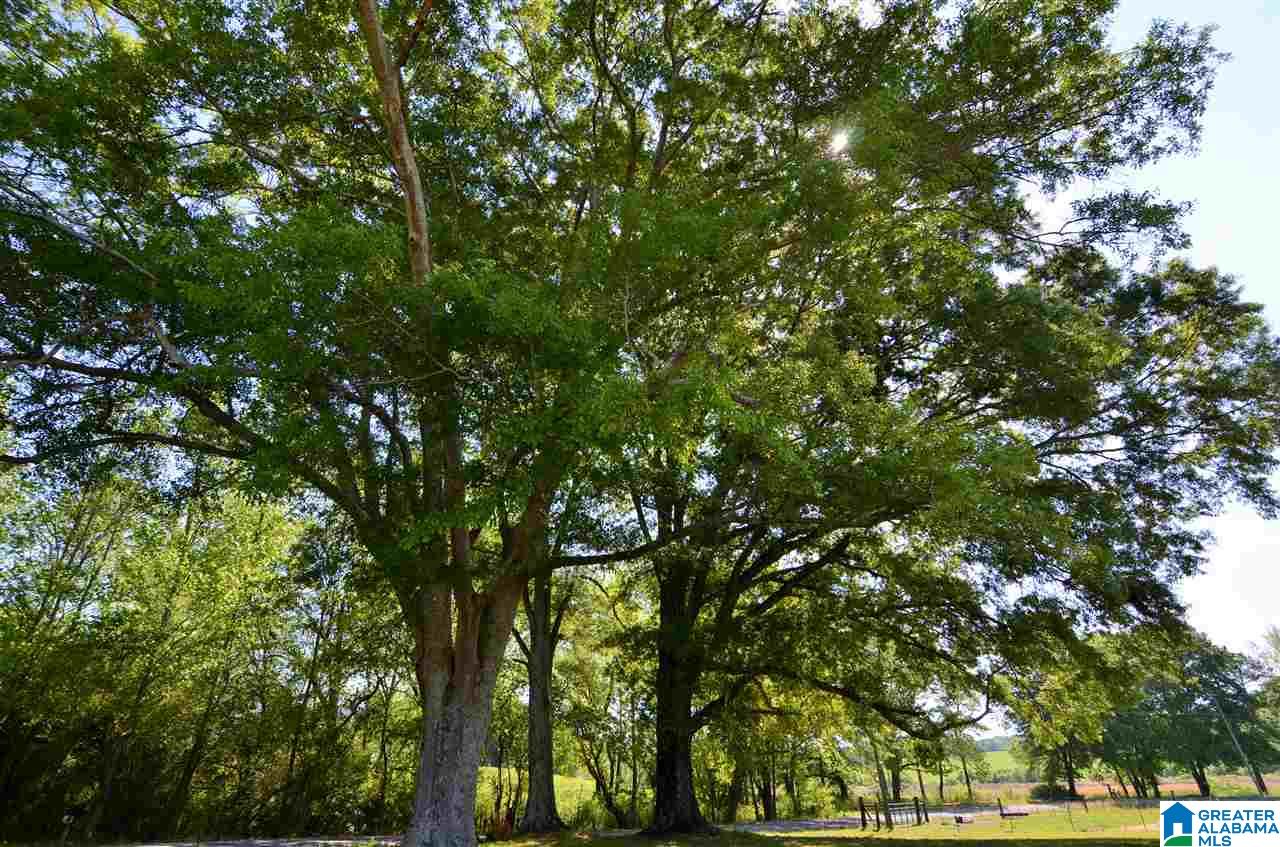 254 Bradford Road Altoona, AL 35952 - Photo 46 of 46