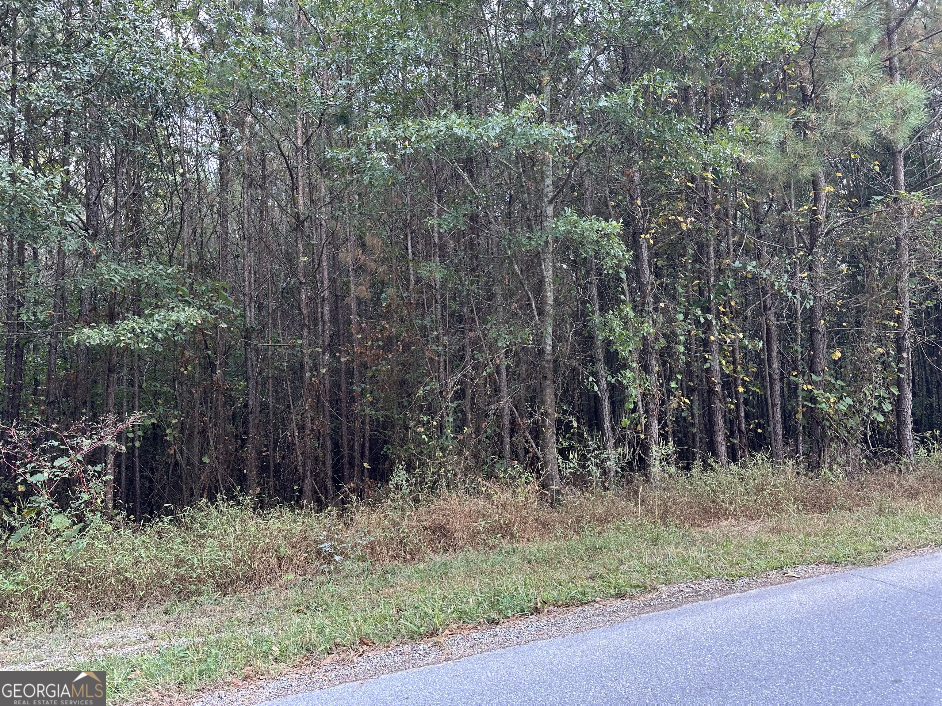 0 Hwy 101 And Dean Road Aragon, GA 30104 - Photo 1 of 5