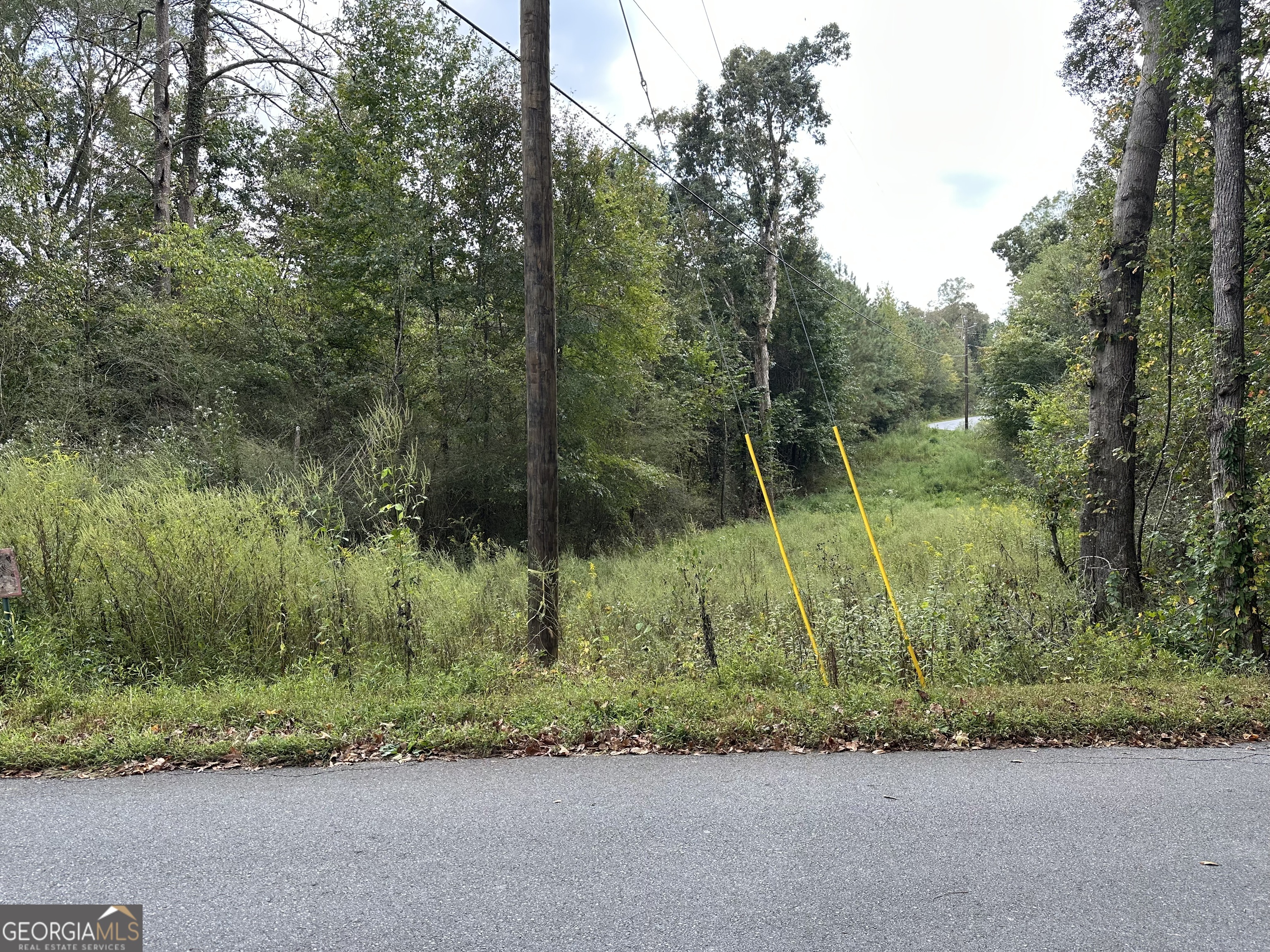 0 Hwy 101 And Dean Road Aragon, GA 30104 - Photo 2 of 5