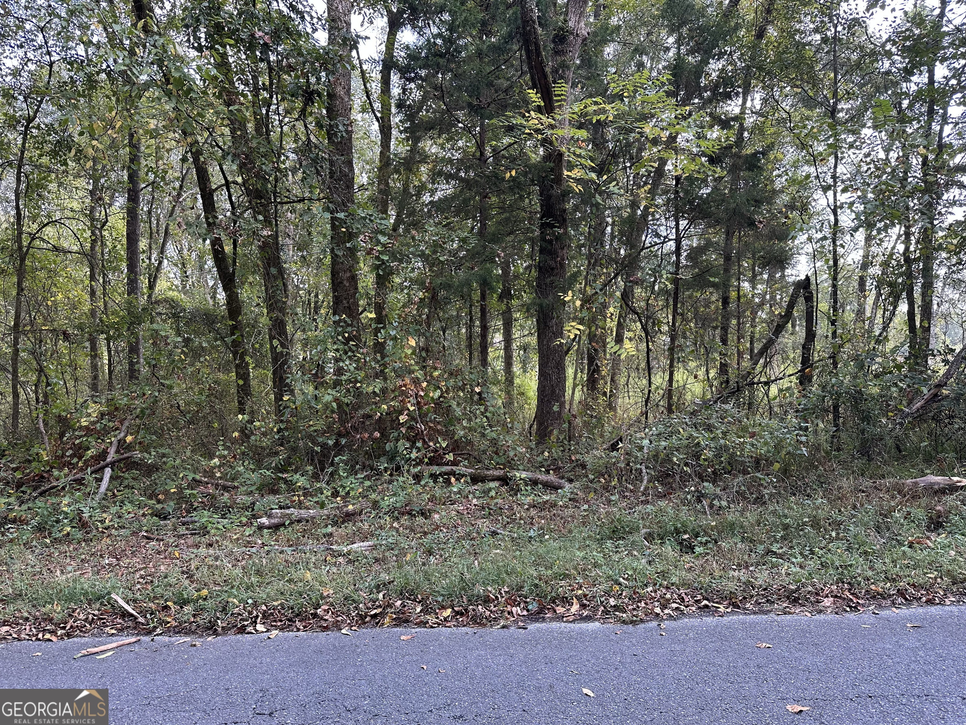 0 Hwy 101 And Dean Road Aragon, GA 30104 - Photo 4 of 5