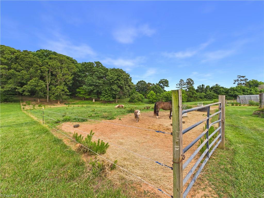 5476 Jesse Small Road Randleman, NC 27317 - Photo 9 of 31