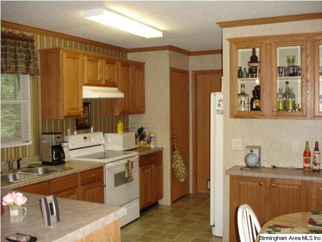 98 Ernest Road Wedowee, AL 36278 - Photo 5 of 17