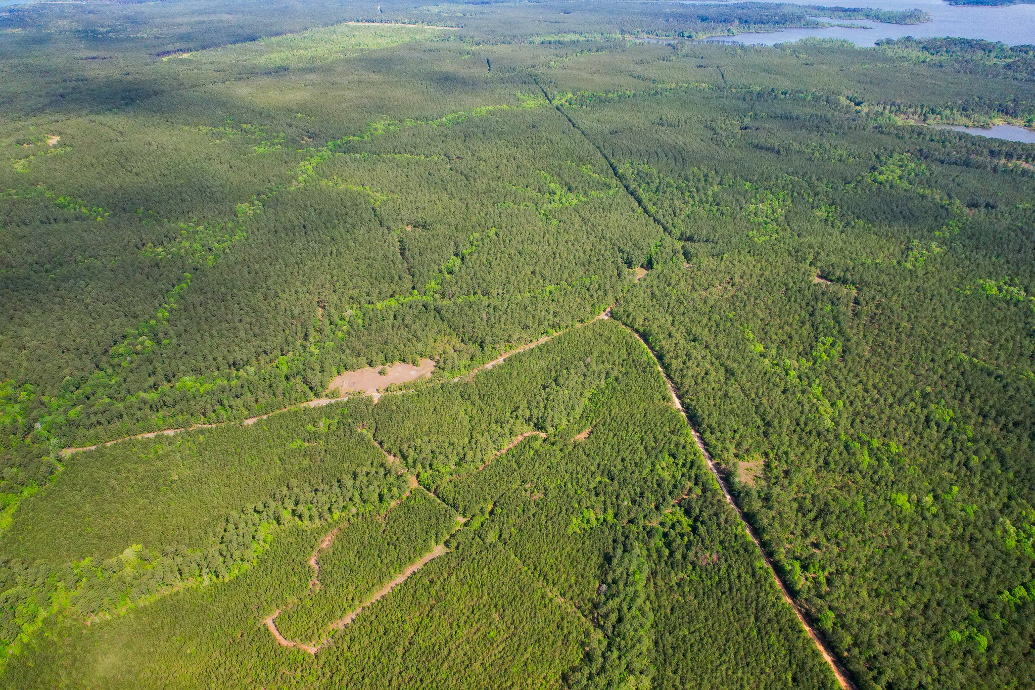 29 Fm 705 Broaddus, TX 75929 - Photo 2 of 7