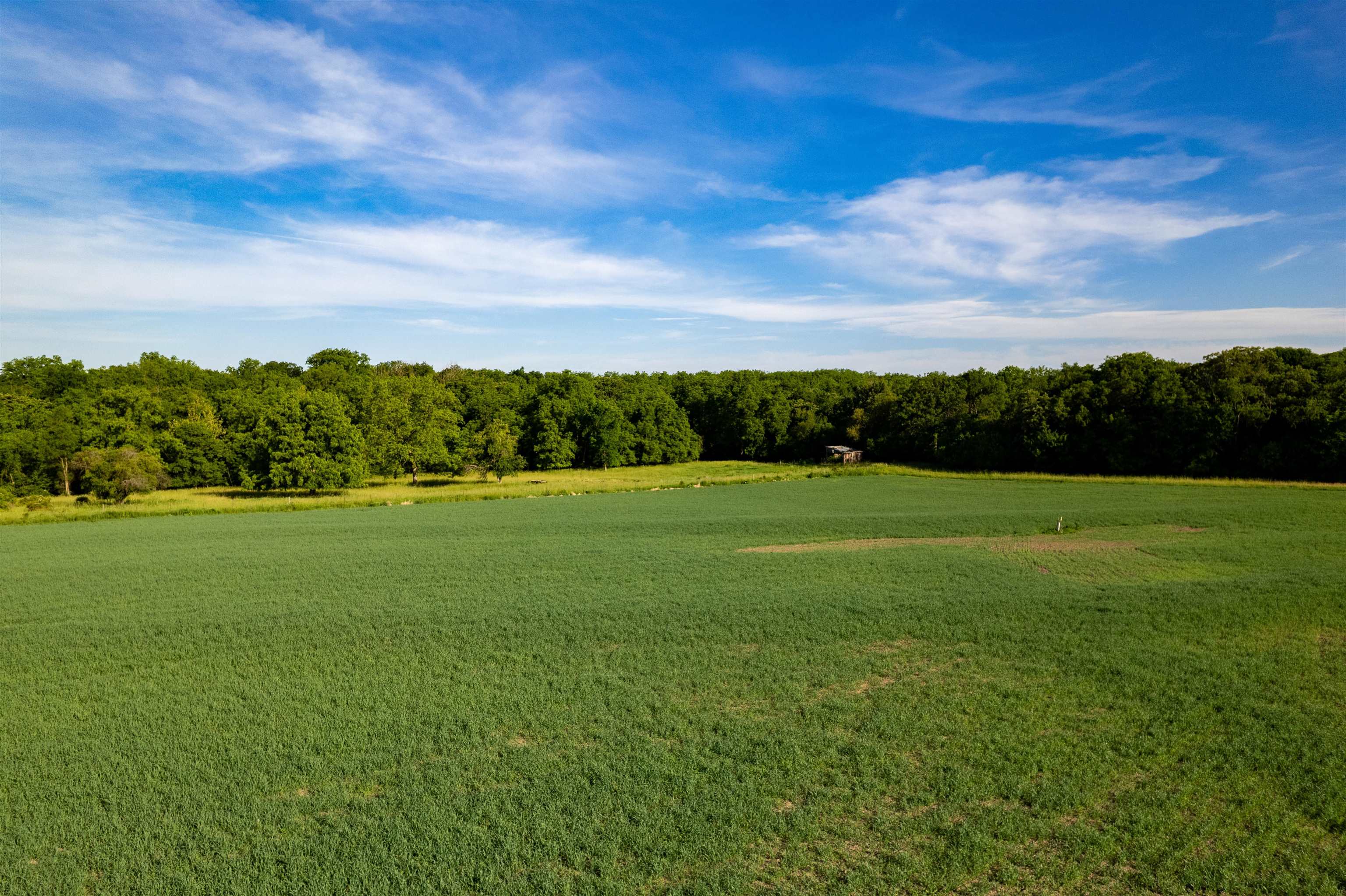 0 South Stone Hill Road Chana, IL 61015 - Photo 14 of 37